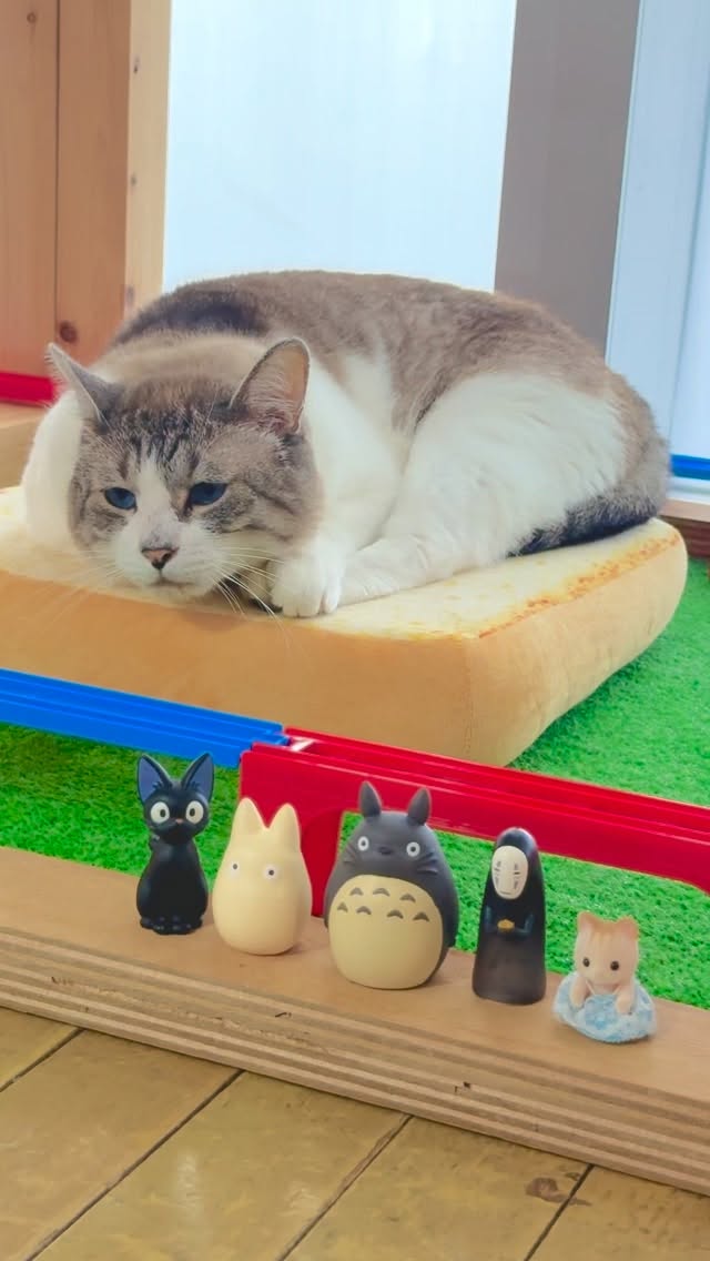 ジオラマの上で伏せるクリームくん