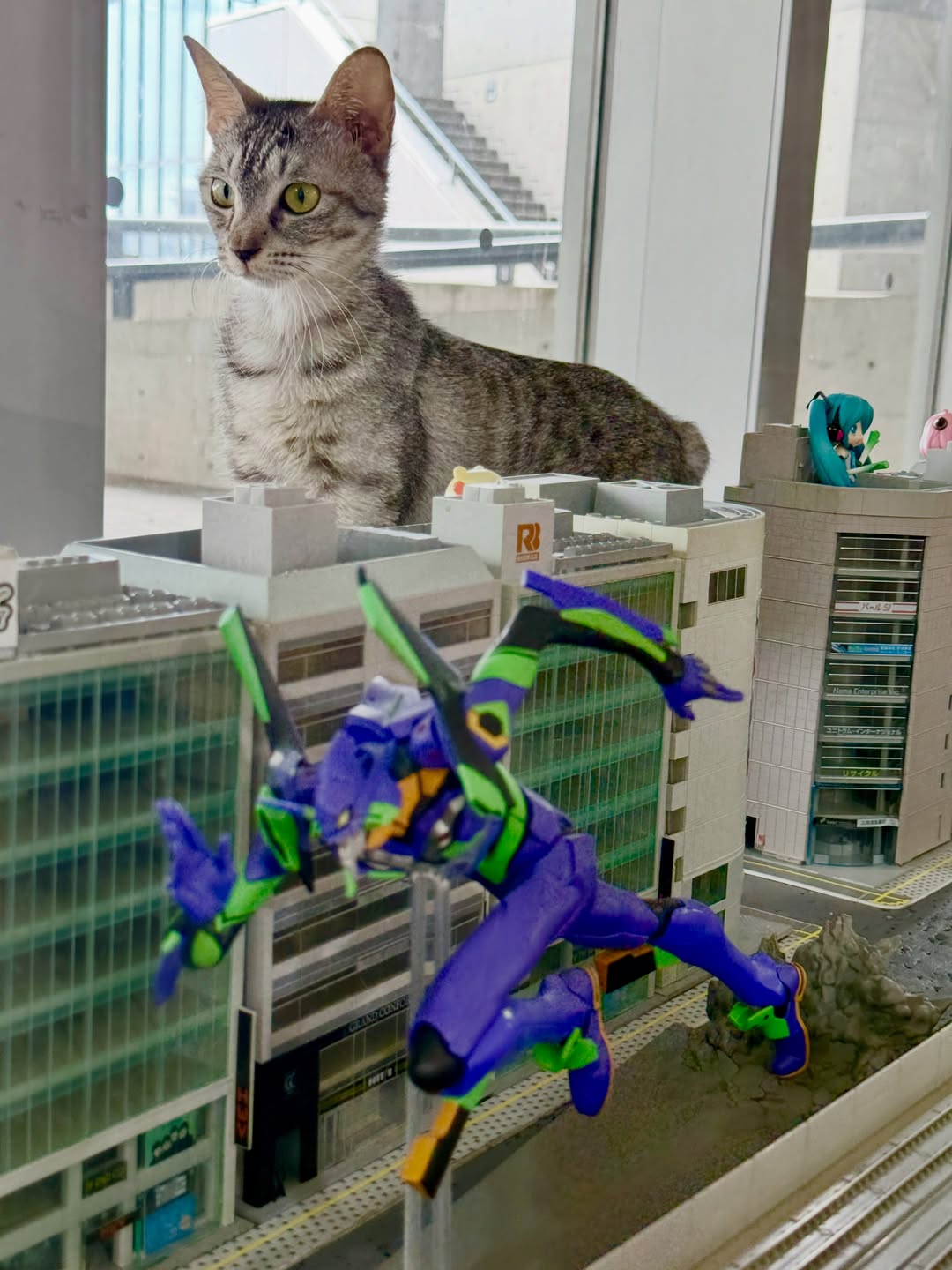 ジオラマの街から顔をのぞかせる猫