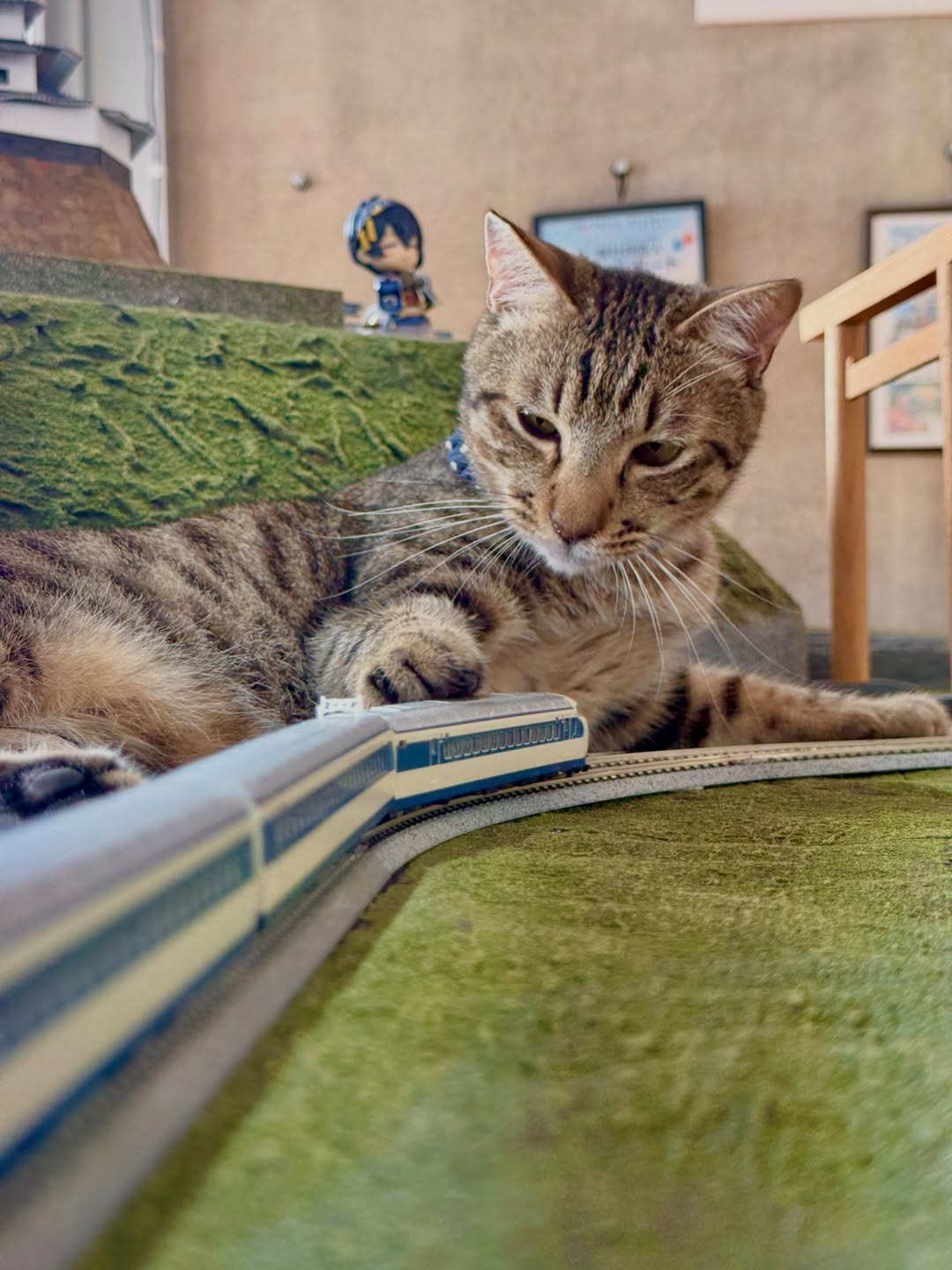 小さな電車のそばでのんびり過ごす猫