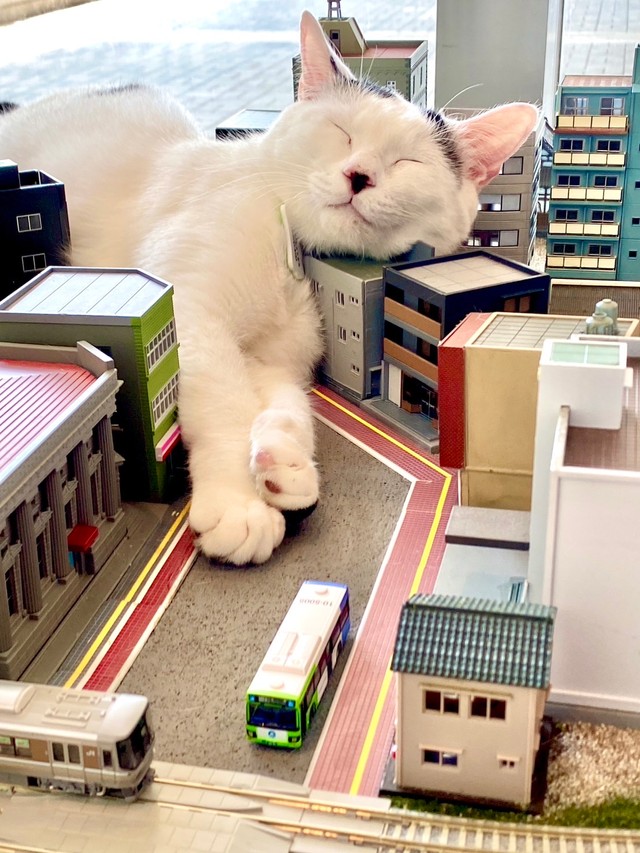 ジオラマのビルに寄りかかって眠るりくくん